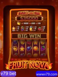 Explorando o Mundo de FruitNova: Um Guia Completo do Jogo